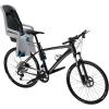 Thule Children’s RideAlong Bike Seat, Light Gray, One Size