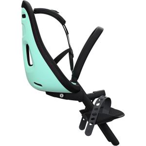 Thule Yepp Nexxt Mini Child Bike Seat, Monument(Mint)